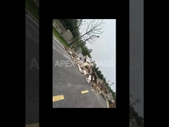 CPM 타입 20T/H 바이오매스 목재 펠릿 생산 라인